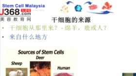 干细胞疗法概论